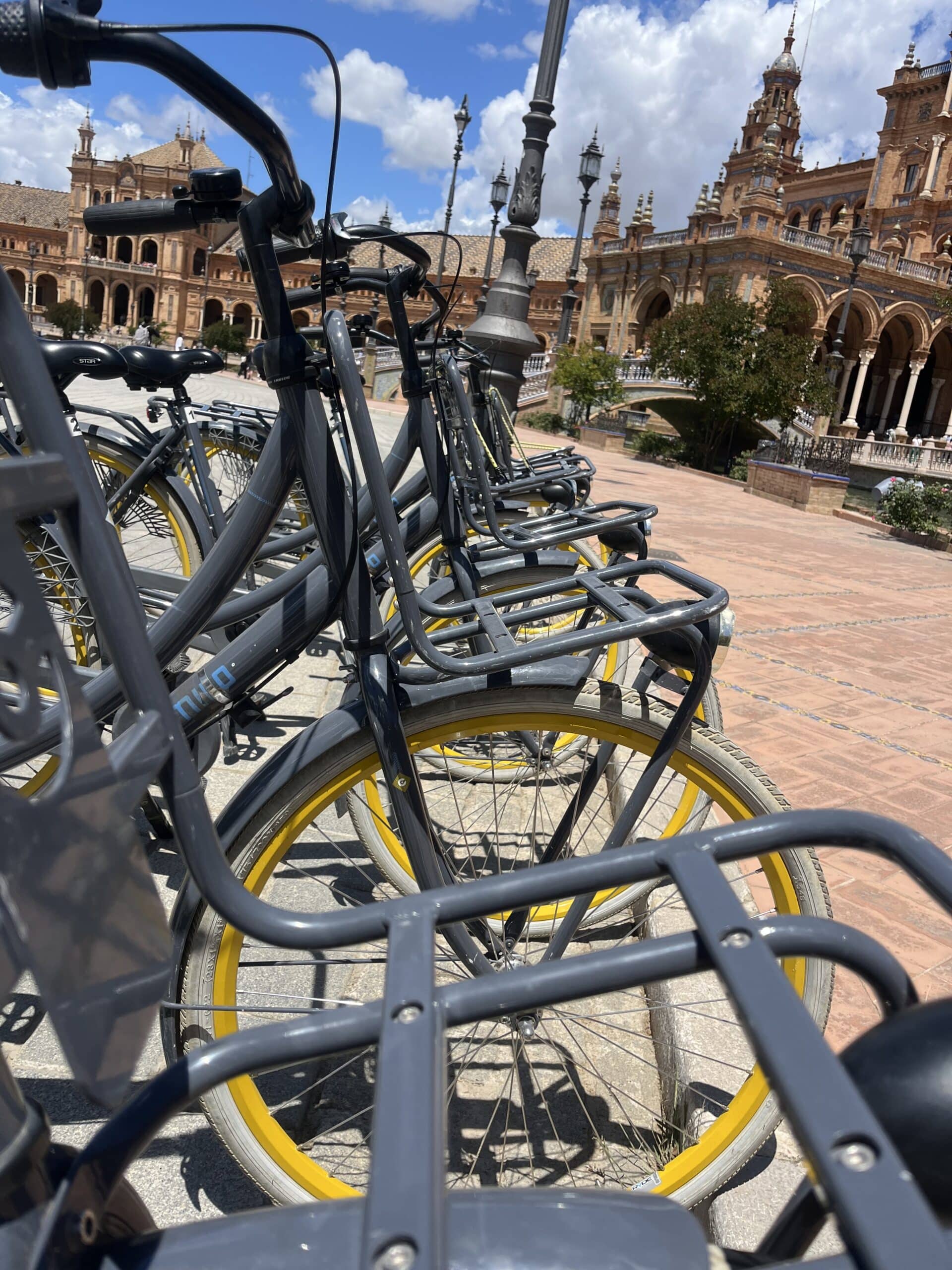 Fietstocht gewone fiets